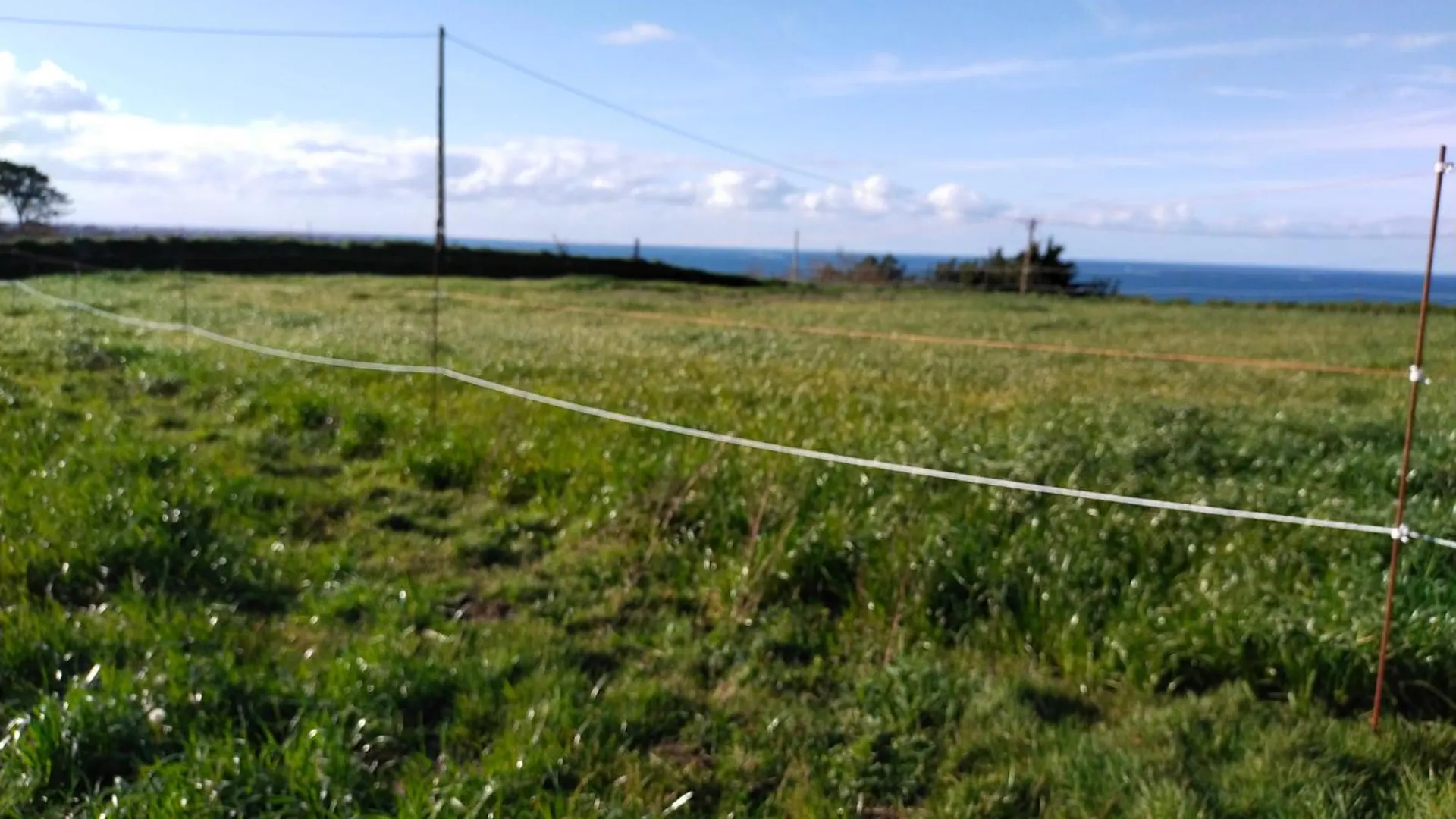 Hebergement Mezeozorn Plouguerneau 0*,